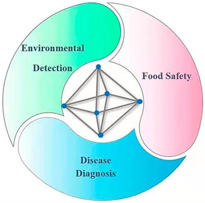 Research Progress of UiO-66-Based Electrochemical Biosensors